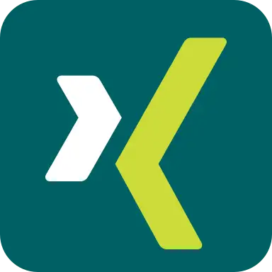 Xing Icon